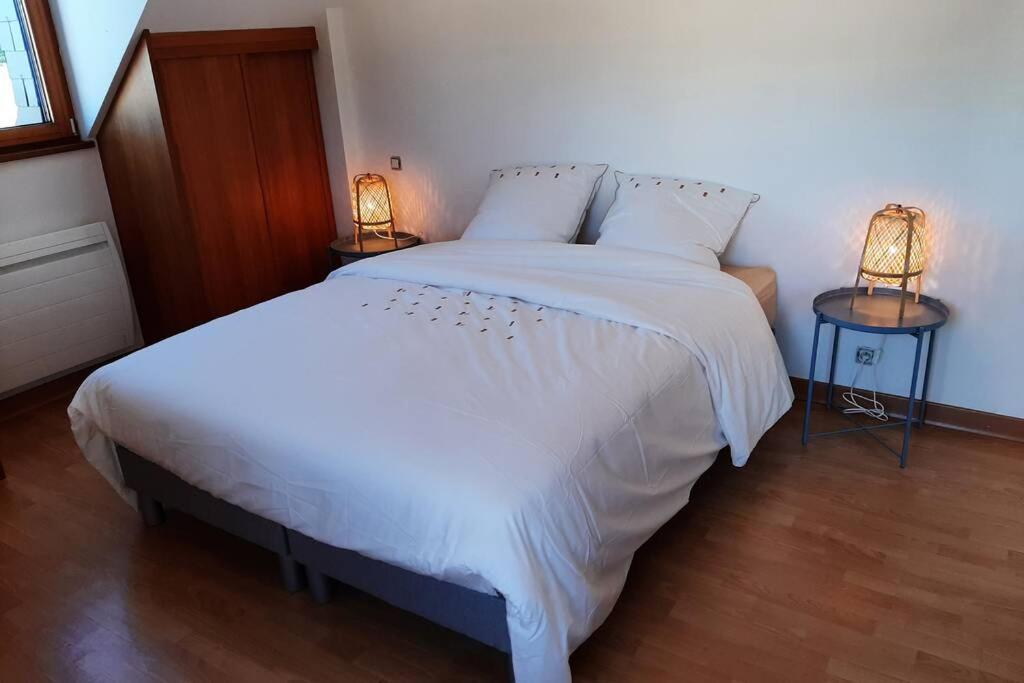 La Maison Bleue Saint-Sauveur-des-Landes エクステリア 写真